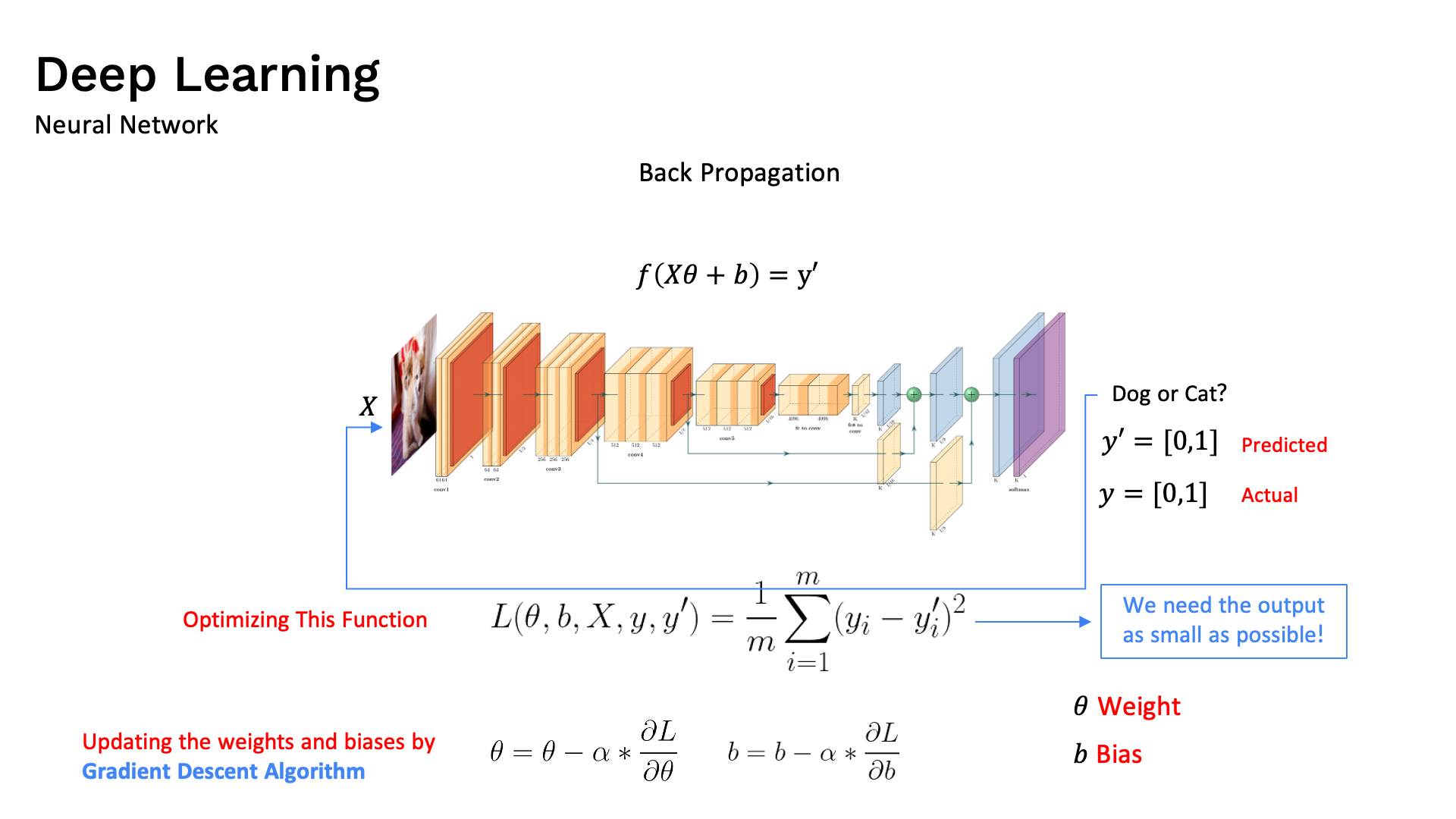 Deep Learning Neural Network and Cost Function