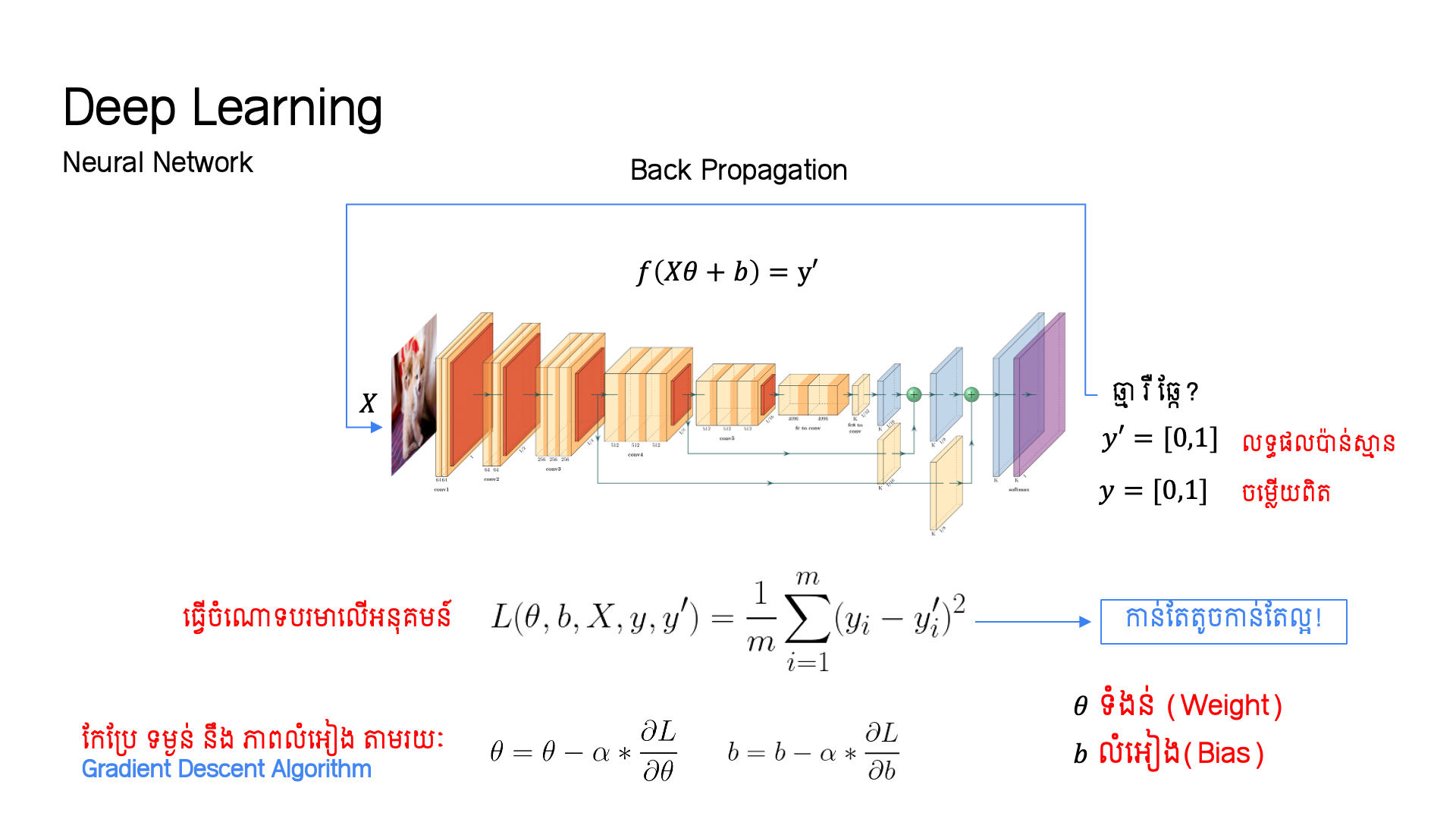 Deep Learning Neural Network and Cost Function